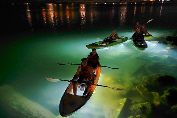Sharkeys Glass Bottom Fish Feeding LED Night Tour St. Pete Beach