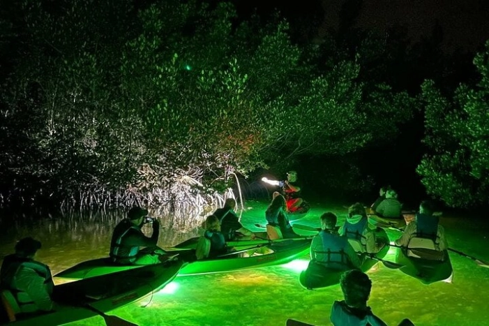 Sharkey's Glass Bottom Fish Feeding LED Night Tour in Sarasota