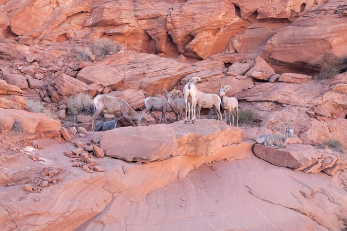 Image 12