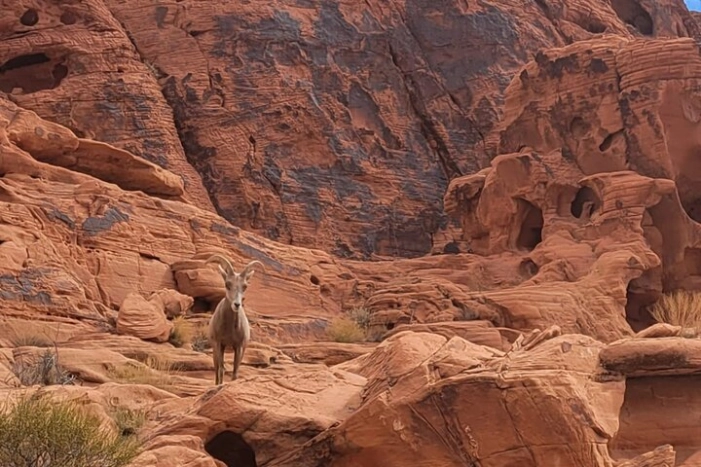 Image 10