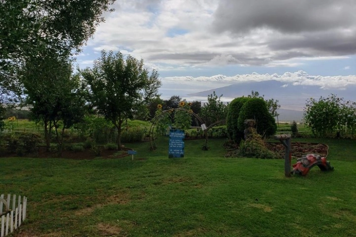 Image 14