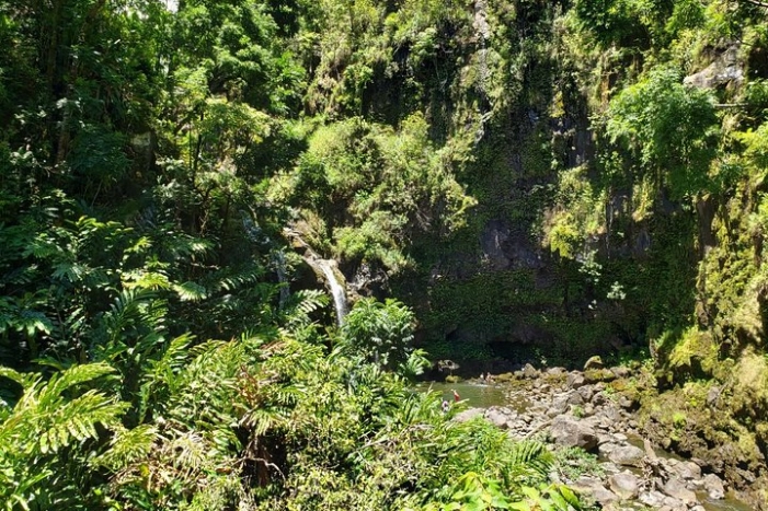 Image 32