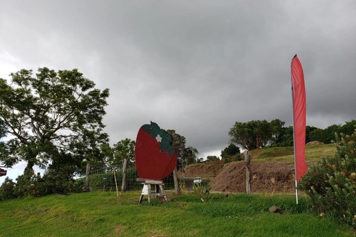Image 10
