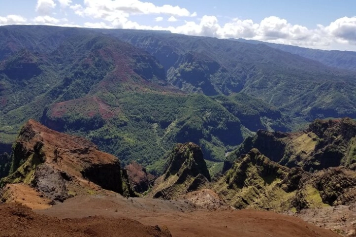 Image 12
