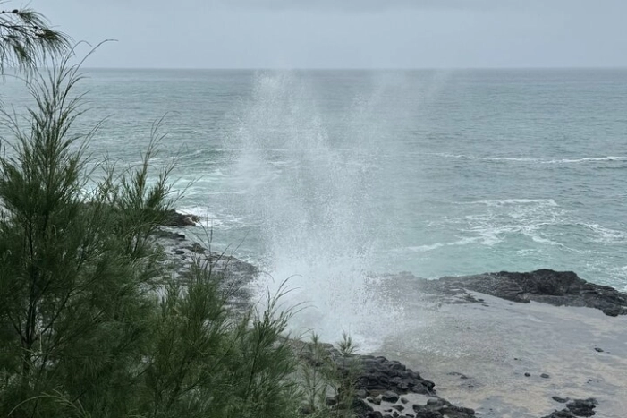 Image 16