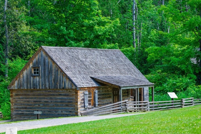 Image 7