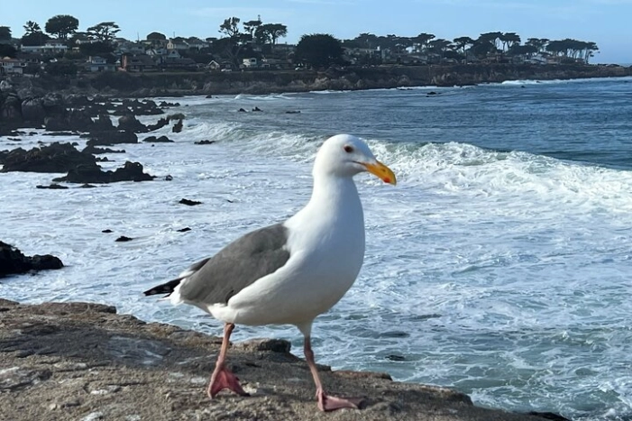 Image 10