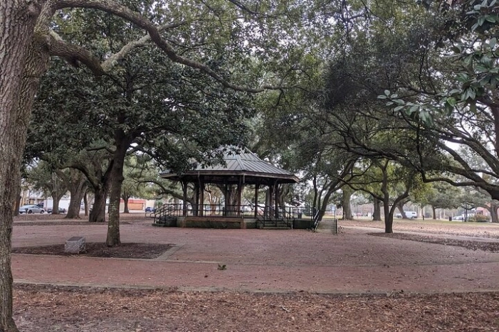 Image 11
