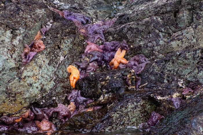 Image 19