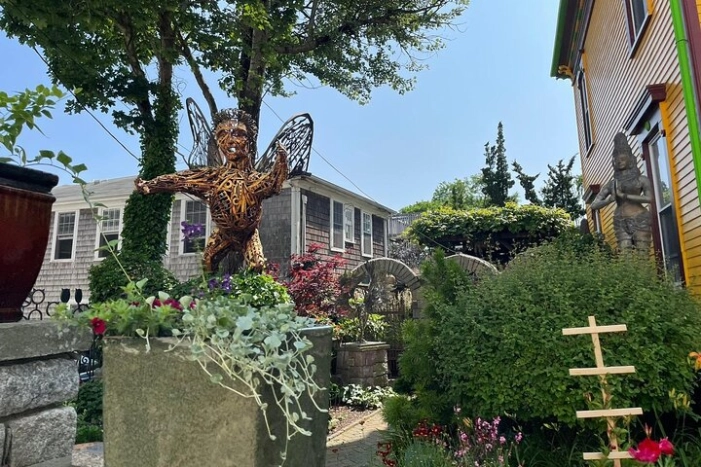 Image 5