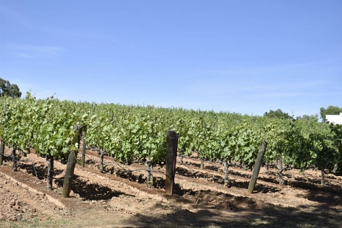 Image 11