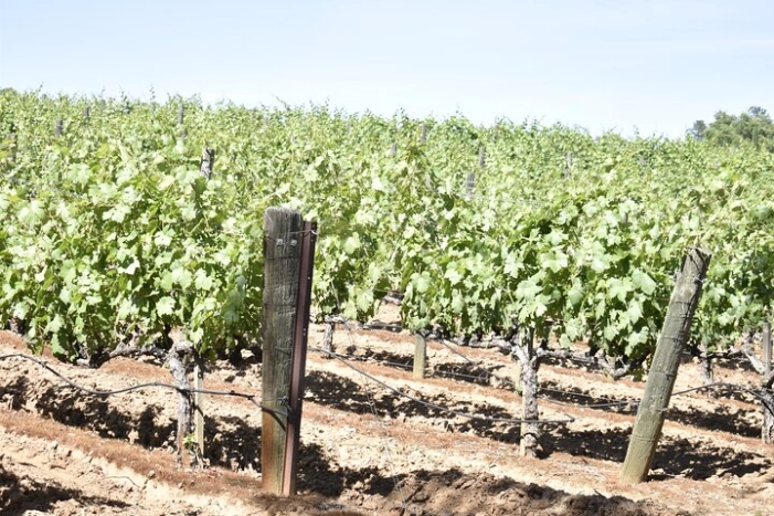 Image 12