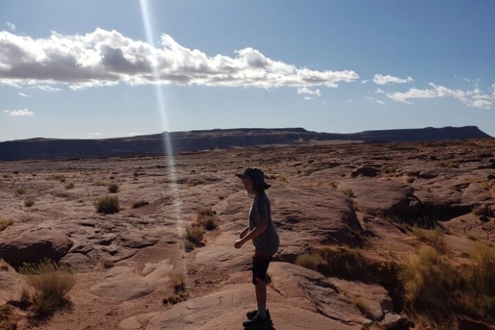 Image 6