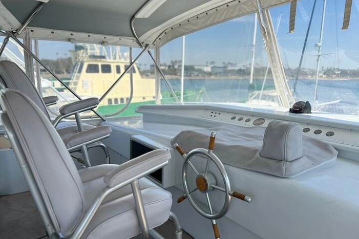Image 15
