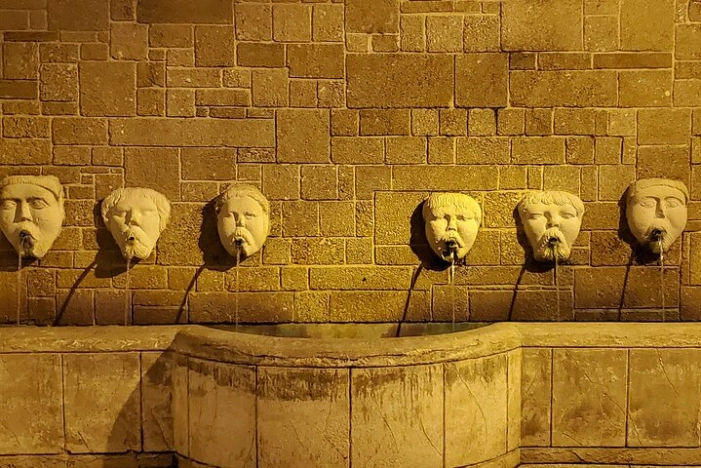 Image 4