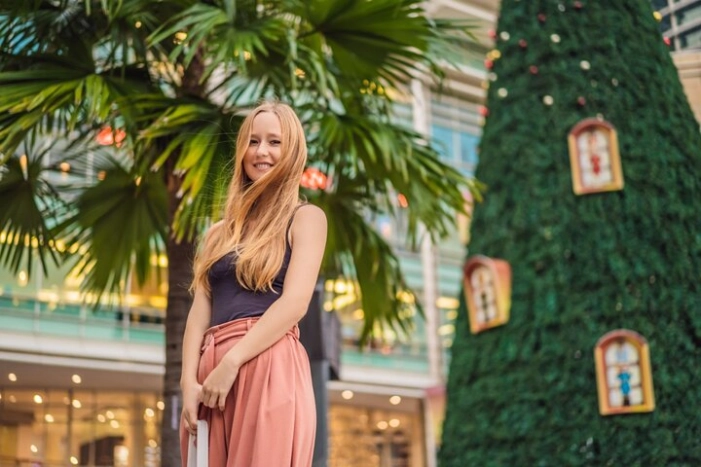 Christmas Time in San Diego - Walking Tour