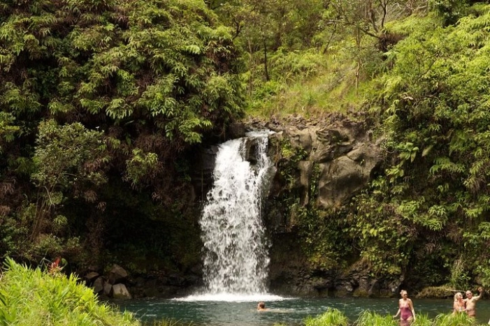 Image 12
