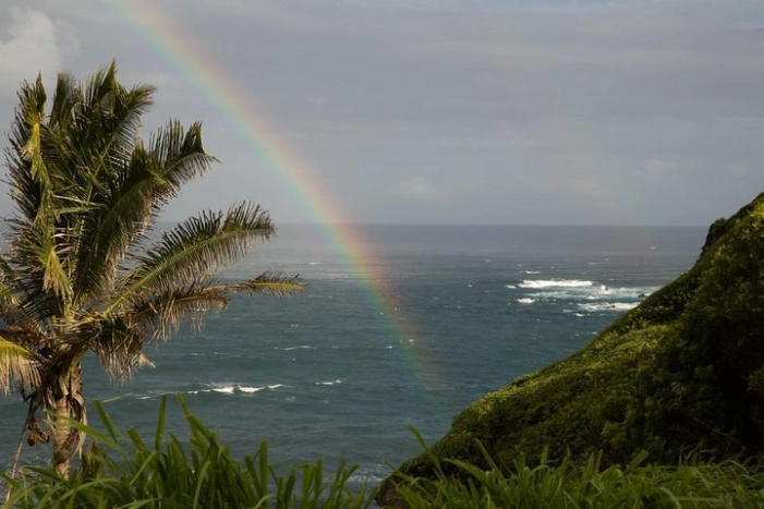 Image 15