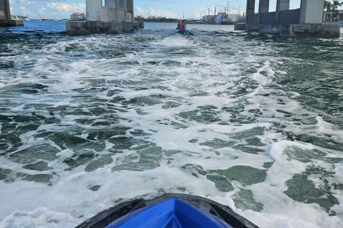 Image 22