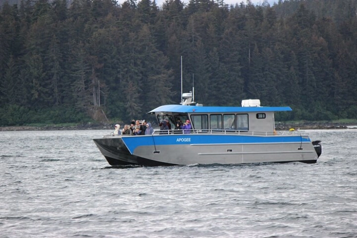 Wonderful Whales and Wildlife Tour