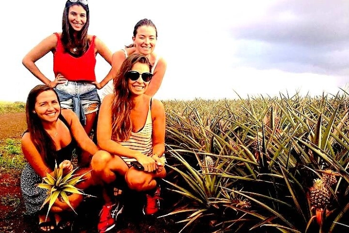 Best of Oahu Full-Day Small-Group Island Tour