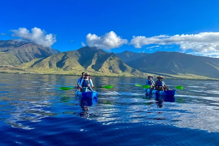 Kayak, Whale Watch, and Snorkel With Optional Photo and Video