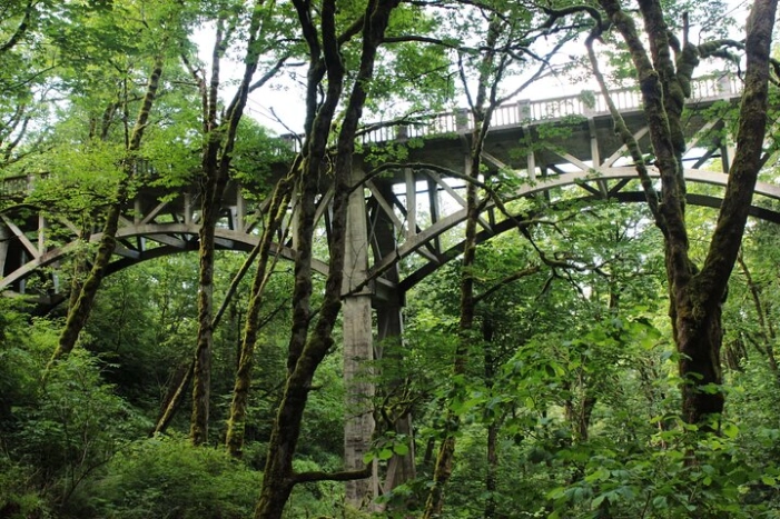 Image 8