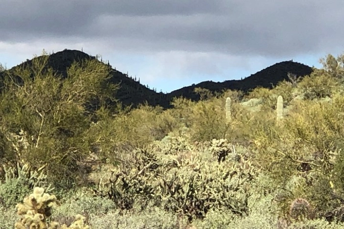 Image 10