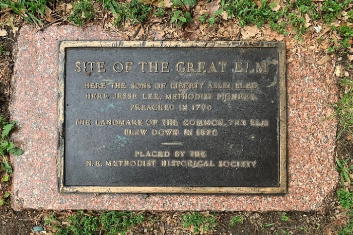 Image 8