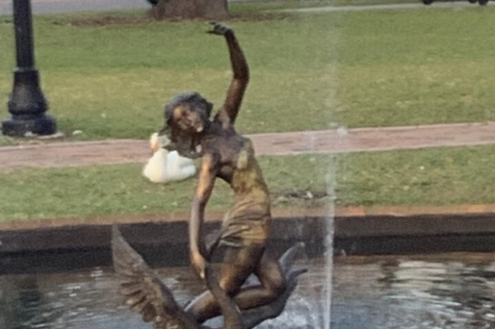 Image 11