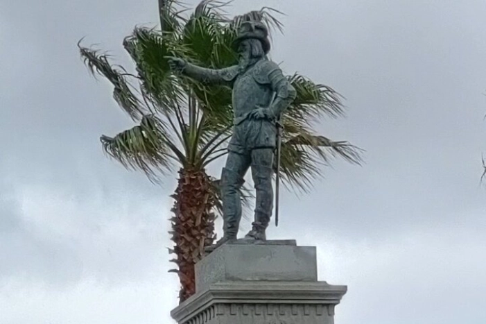 Image 7
