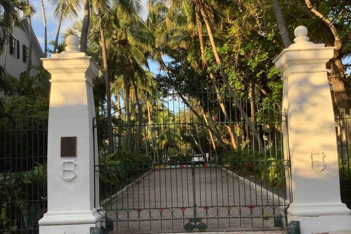 Image 11