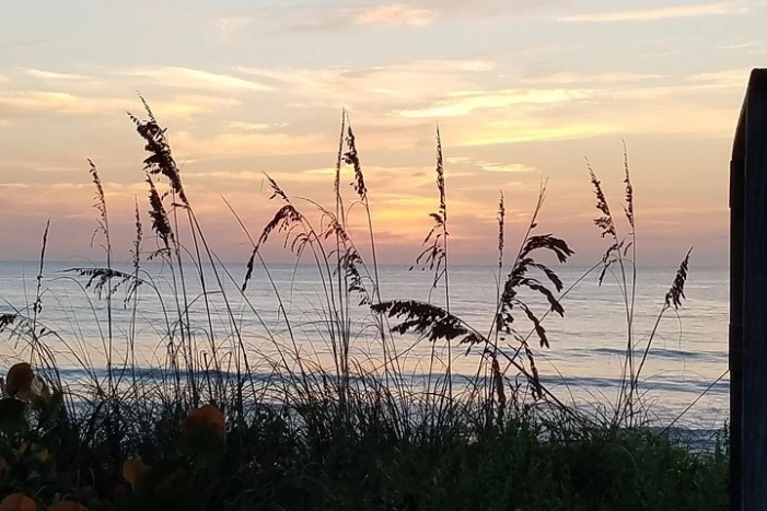 Image 16
