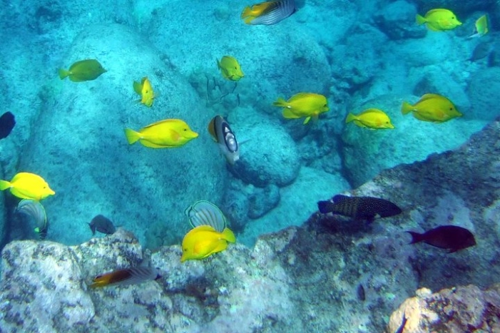 Image 15