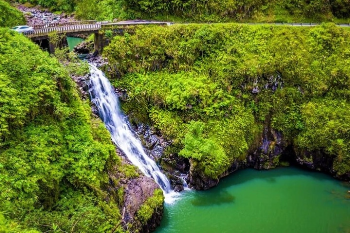 Viator Exclusive: Maui Tropical Rainforest Small Group Tour