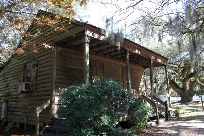Image 5