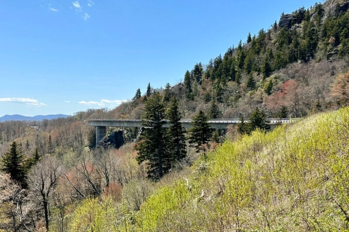 Image 19