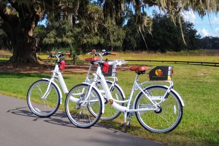 Village Bicycle Rental Free Delivery in The Villages Florida 