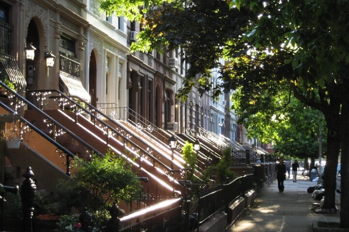 Image 15