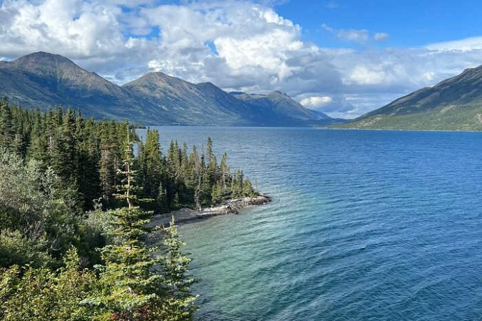 Image 18