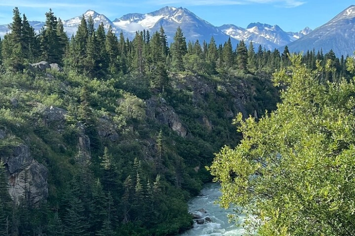 Image 10