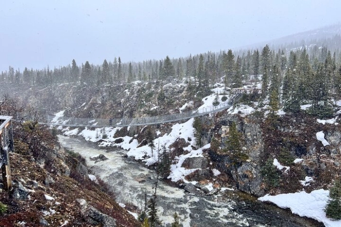 Image 11