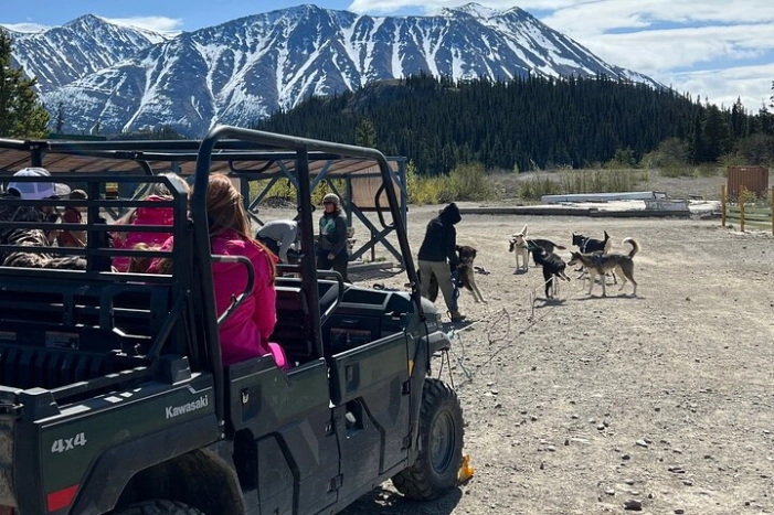 Dog Mushing and Yukon Experience 