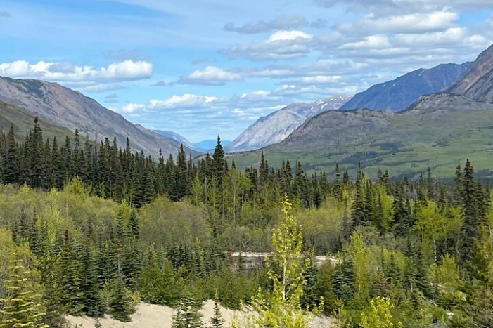 Image 11