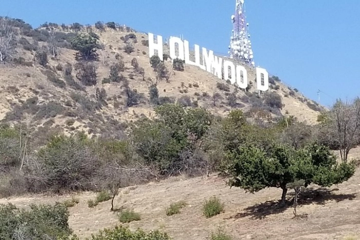 Image 6