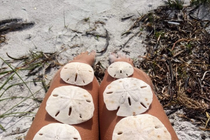 Three Hour Shelling Cruise to Shell Key Preserve from John's Pass