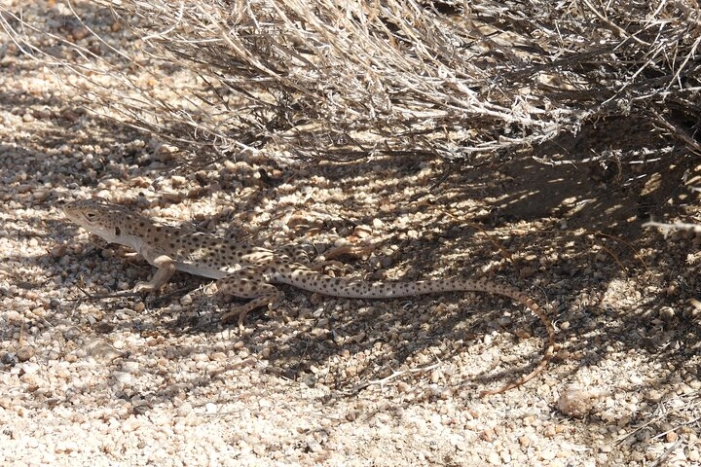 Image 14