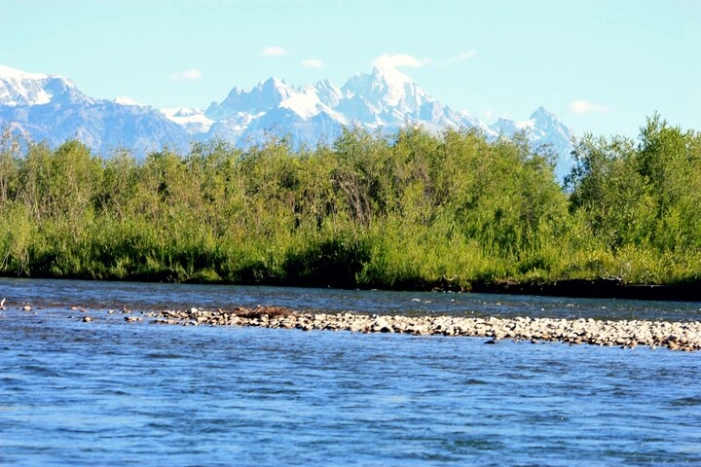 Image 8