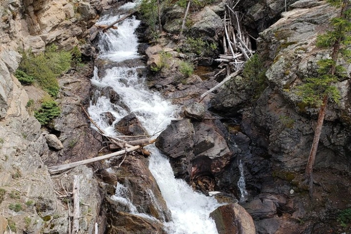Image 5