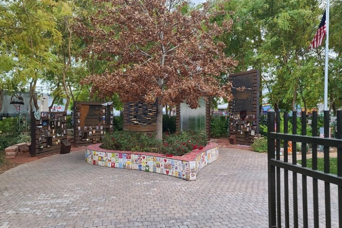 Image 7